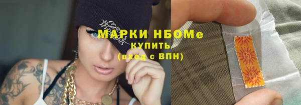 хмурый Алексин