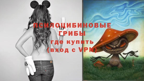 хмурый Алексин